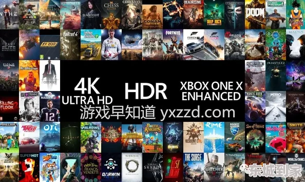 xbox看免费高清影视外滩探秘第四季